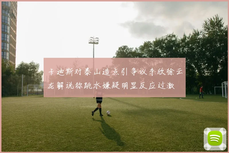 卡迪斯对泰山造点引争议李欣徐云龙解说称跳水嫌疑明显反应过激