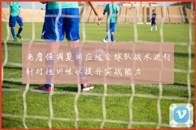 老詹强调夏训应结合球队战术进行针对性训练以提升实战能力