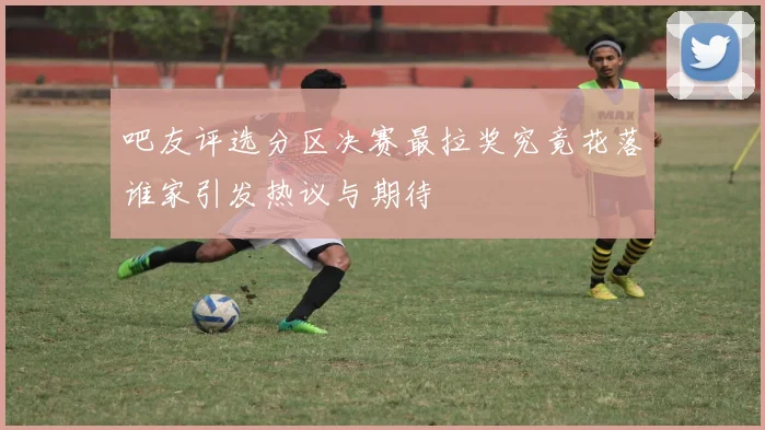 吧友评选分区决赛最拉奖究竟花落谁家引发热议与期待